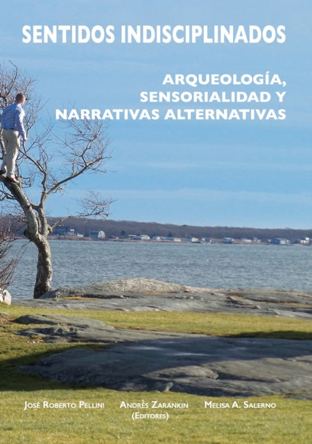 Book cover of: Sentidos indisciplinados. By: Roberto Pellini