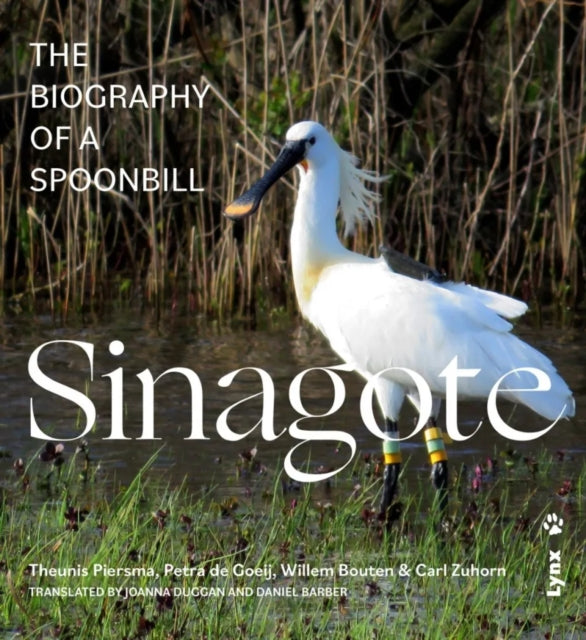 Book cover of: Sinagote, the biography of a spoonbill. By: Theunis Piersma