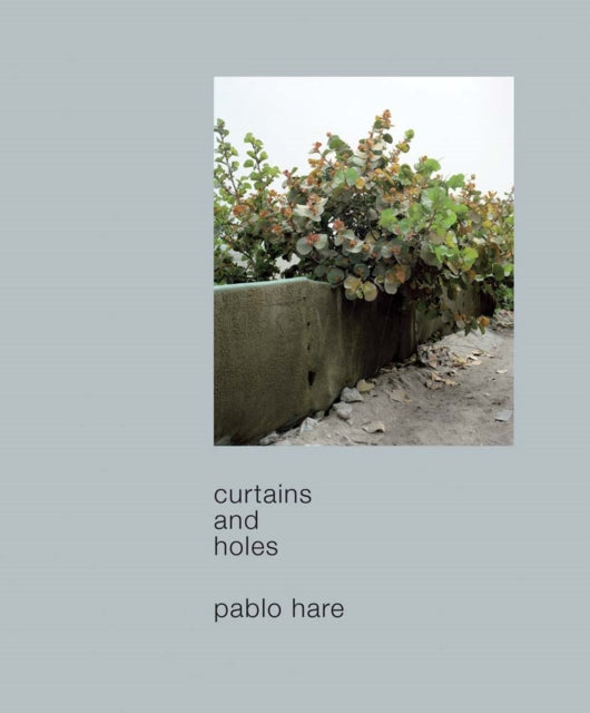 Book cover of: Curtains and Holes. By: Pablo Hare