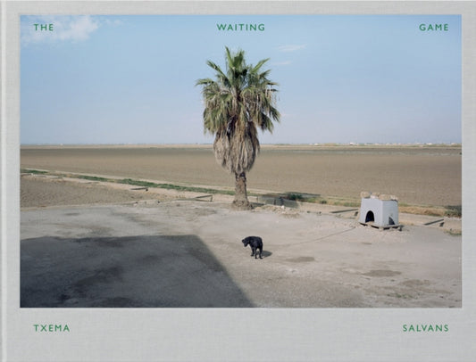 Book cover of: Txema Salvans: The Waiting Game III