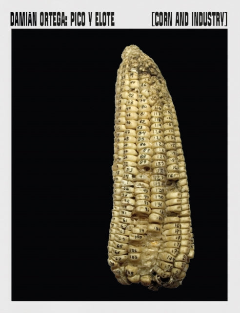Book cover of: Corn and Industry. By: Damian Ortega