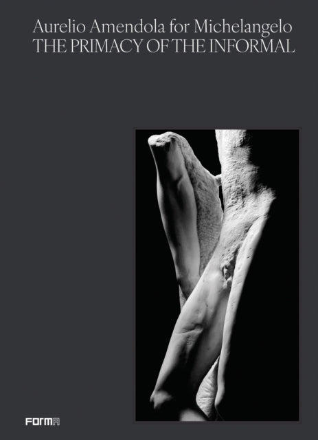 Book cover of: Aurelio Amendola for Michelangelo