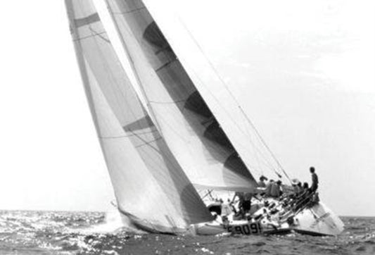 Book cover of: Andrea Vallicelli. By: Valerio Paolo Mosco