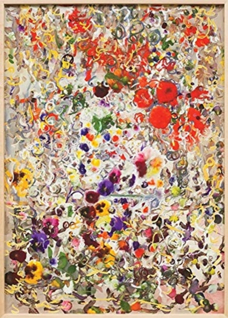 Book cover of: Petra Cortright. By: Petra Cortright