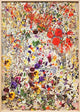 Book cover of: Petra Cortright. By: Petra Cortright