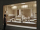 Book cover of: Roxy Paine. By: Roxy Paine