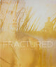 Book cover of: Fractured. By: Franklin Sirmans
