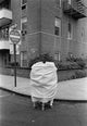 Book cover of: Susan Meiselas: Mediations. By: Susan Meiselas