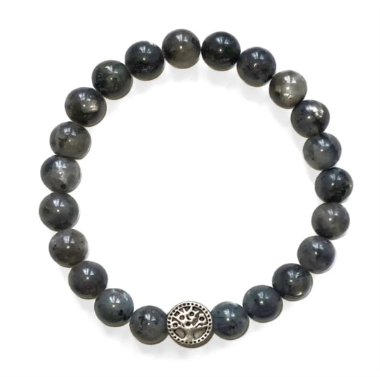 Book cover of: Crystal Bracelet - Labradorite