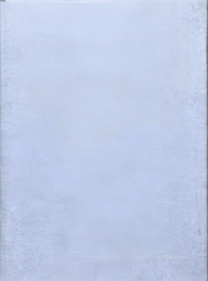 A Permanently Open Window