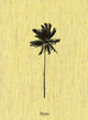 Book cover of: Decoding Palm Culture
