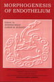 Book cover of: Morphogenesis of Endothelium. By: Werner Risau