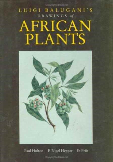 Book cover of: Luigi Balugani's Drawings of African Plants. By: Paul Hulton