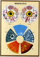 Book cover of: Iridology -- A4