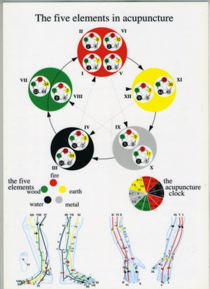 Five Elements in Acupuncture -- A4