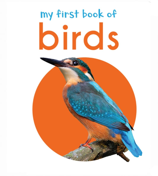 Book cover of: My First Book of Birds. By: Wonder House Books