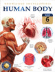 Book cover of: Knowledge Encyclopedia For Children: Human Body. By: Wonder House Books