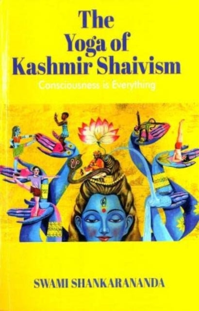 Book cover of: Consciousness is Everything