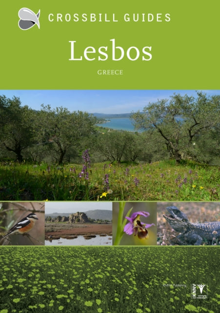 Book cover of: Lesbos
