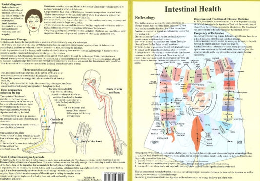 Book cover of: Intestinal Health -- Double Sided A4