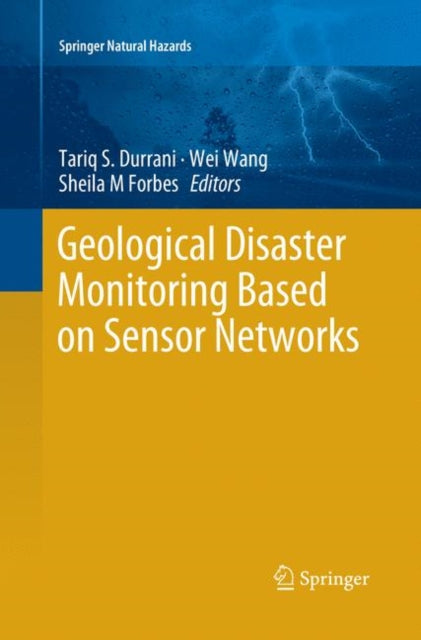 Book cover of: Geological Disaster Monitoring Based on Sensor Networks