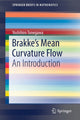 Book cover of: Brakke's Mean Curvature Flow. By: Yoshihiro Tonegawa