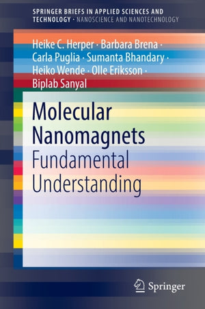 Molecular Nanomagnets