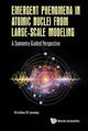 Book cover of: Emergent Phenomena In Atomic Nuclei From Large-scale Modeling: A Symmetry-guided Perspective. By: Kristina D. Launey