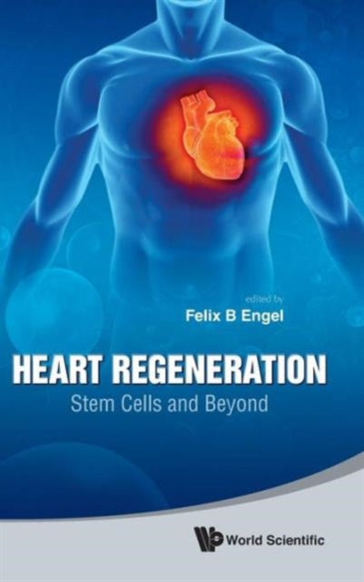 Book cover of: Heart Regeneration: Stem Cells And Beyond. By: Felix B. Engel