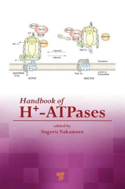 Book cover of: Handbook of H+-ATPases. By: Suguru Nakamura