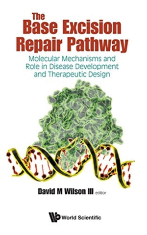 Base Excision Repair Pathway, The