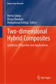 Book cover of: Two-dimensional Hybrid Composites. By: Neetu Talreja