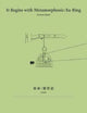 Book cover of: It Begins with Metamorphosis – Xu Bing. By: Yeewan Koon