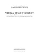 Book cover of: Virga Jesse Floruit