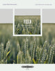 Book cover of: more than the score...Field: Nocturne No. 5