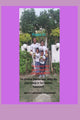Book cover of: Te Divina Detox tea. Why do you need it for better health!!!