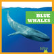 Book cover of: Blue Whales. By: Leahy