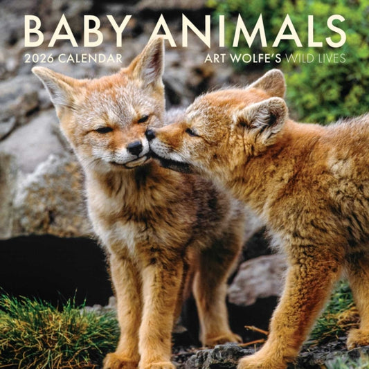 Book cover of: 2026 Baby Animals Wall Calendar