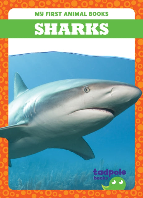 Book cover of: Sharks. By: Deniston