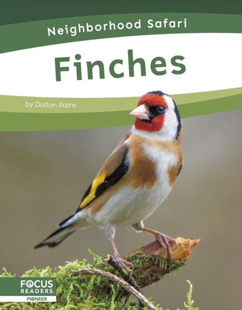 Book cover of: Finches. By: Dalton Rains