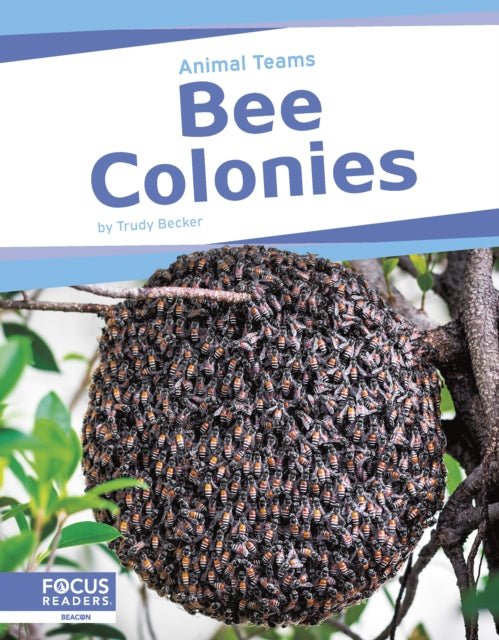 Book cover of: Bee Colonies. By: Trudy Becker