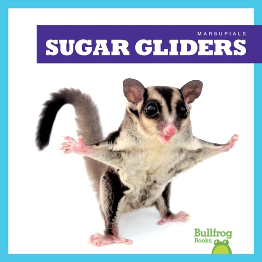 Book cover of: Sugar Gliders