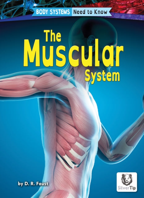 Book cover of: Muscular System. By: D. R. Faust