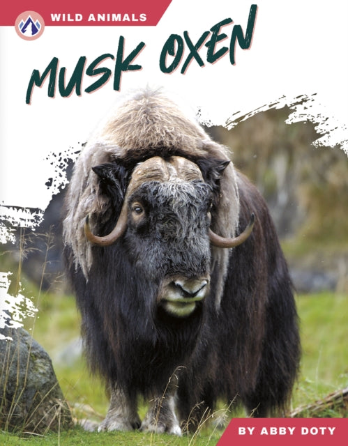 Book cover of: Musk Oxen. By: Abby Doty