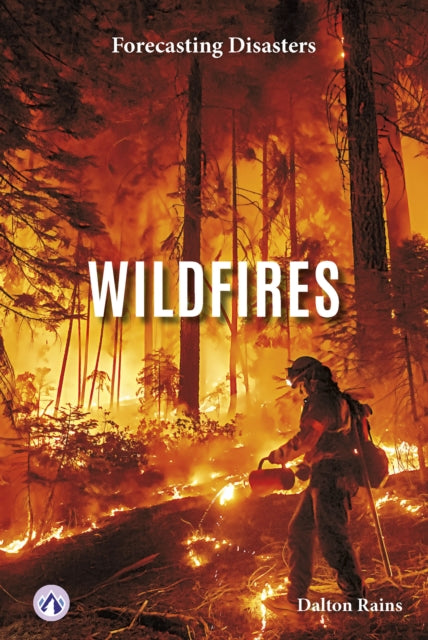 Book cover of: Wildfires. By: Dalton Rains