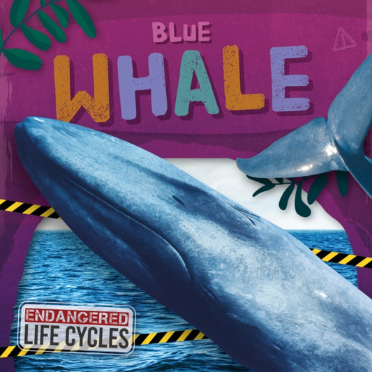 Book cover of: Blue Whale. By: E. C. Andrews