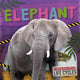 Book cover of: Elephant