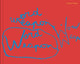 Book cover of: Cecilia Vicuna: Word Weapons. By: Cecilia Vicuña