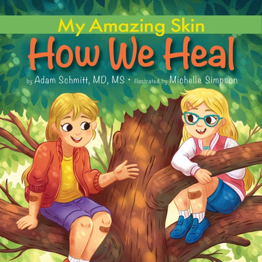 Book cover of: How We Heal. By: Adam Schmitt